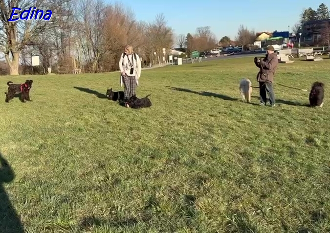 18.3.2025 - Hundetreff